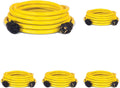 Champion Power Equipment 25-Foot 30-Amp 250-Volt Generator Power Cord for Manual Transfer Switch (L14-30P to L14-30R) (Pack of 5)