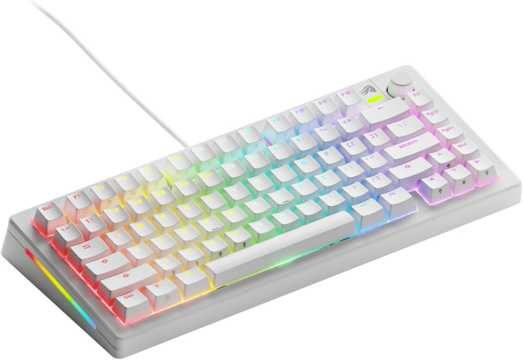 Glorious Gaming - GMMK 3 Custom Mechanical Gaming Keyboard with Knob, 75% Tenkeyless Keyboard, Modular Gasket System, Doubleshot PBT Keycaps, Aluminum Switch Plate, Hotswappable Switches, ANSI (White)