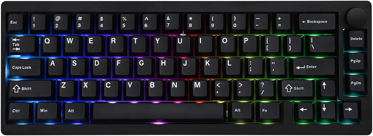 EPOMAKER P65 QMK/VIA Wireless Aluminum Gaming Keyboard, Gasket-Mount, BT/2.4Ghz/USB(A to C), Hot Swappable, N-Key Rollover, for Mac/PC/PS/Xbox (Black, Zebra Switch)