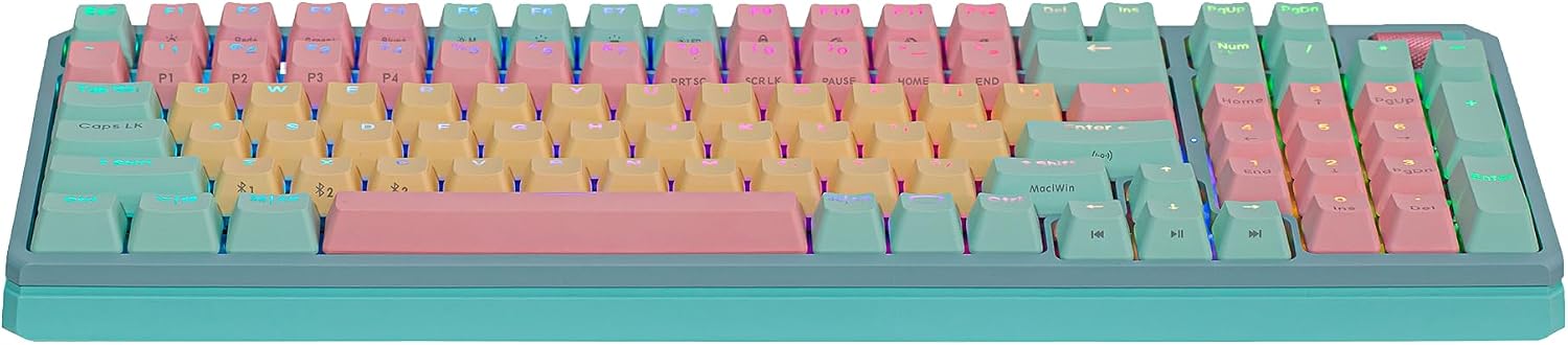 Cooler Master MK770 Macaron Wireless Mechanical RGB Gaming Keyboard, Kailh Box V2 Linear Red Switches, Gasket Structure, Hot-Swappable, Bluetooth|2.4GHz, Tactile 3-Way Dial, QWERTY (MK-770-MCKR1-US)