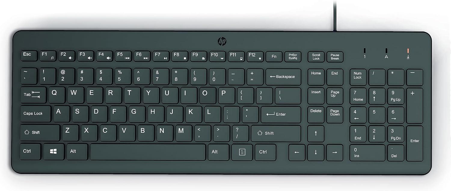 HP 150 Wired Keyboard-Full-Sized, Keyboard with Numeric Keypad-Silent-Touch Chiclet Keyboard - Ergonomic,Comfortable Design-USB Plug-and-Play Connectivity, LED Indicators (664R5AA, Black) (Pack of 10)