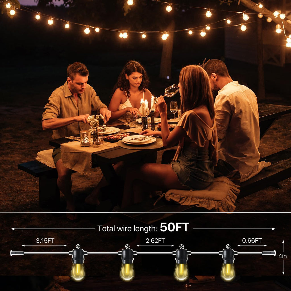 Aoxun 10' x 10' Outdoor Wood Gazebo, Hardtop Gazebo Permanent Wooden Pavilion with Galvanized Steel Double Roof, and LED Outdoor Waterproof Hanging Lights, for Patio, Garden, Deck, Cedar Wood