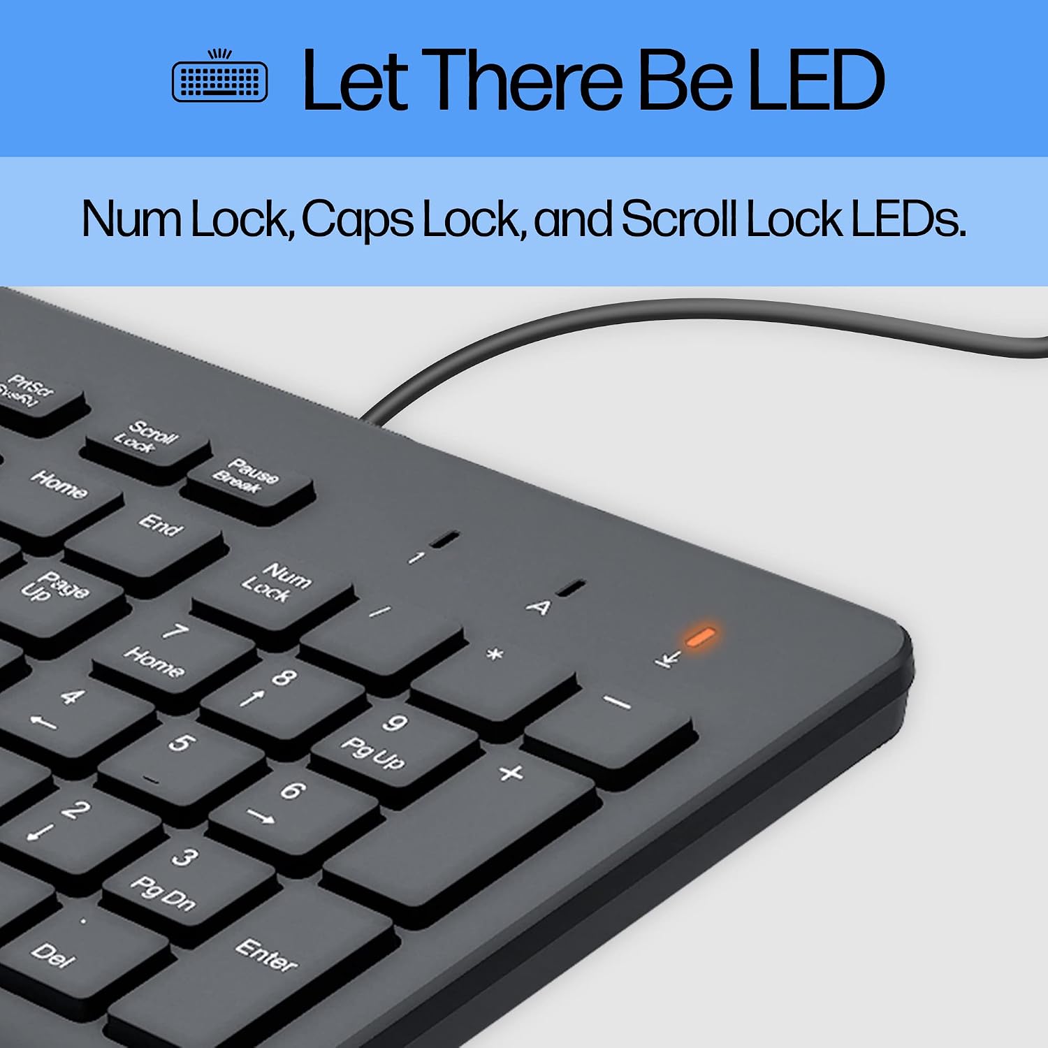 HP 150 Wired Keyboard-Full-Sized, Keyboard with Numeric Keypad-Silent-Touch Chiclet Keyboard - Ergonomic,Comfortable Design-USB Plug-and-Play Connectivity, LED Indicators (664R5AA, Black) (Pack of 10)