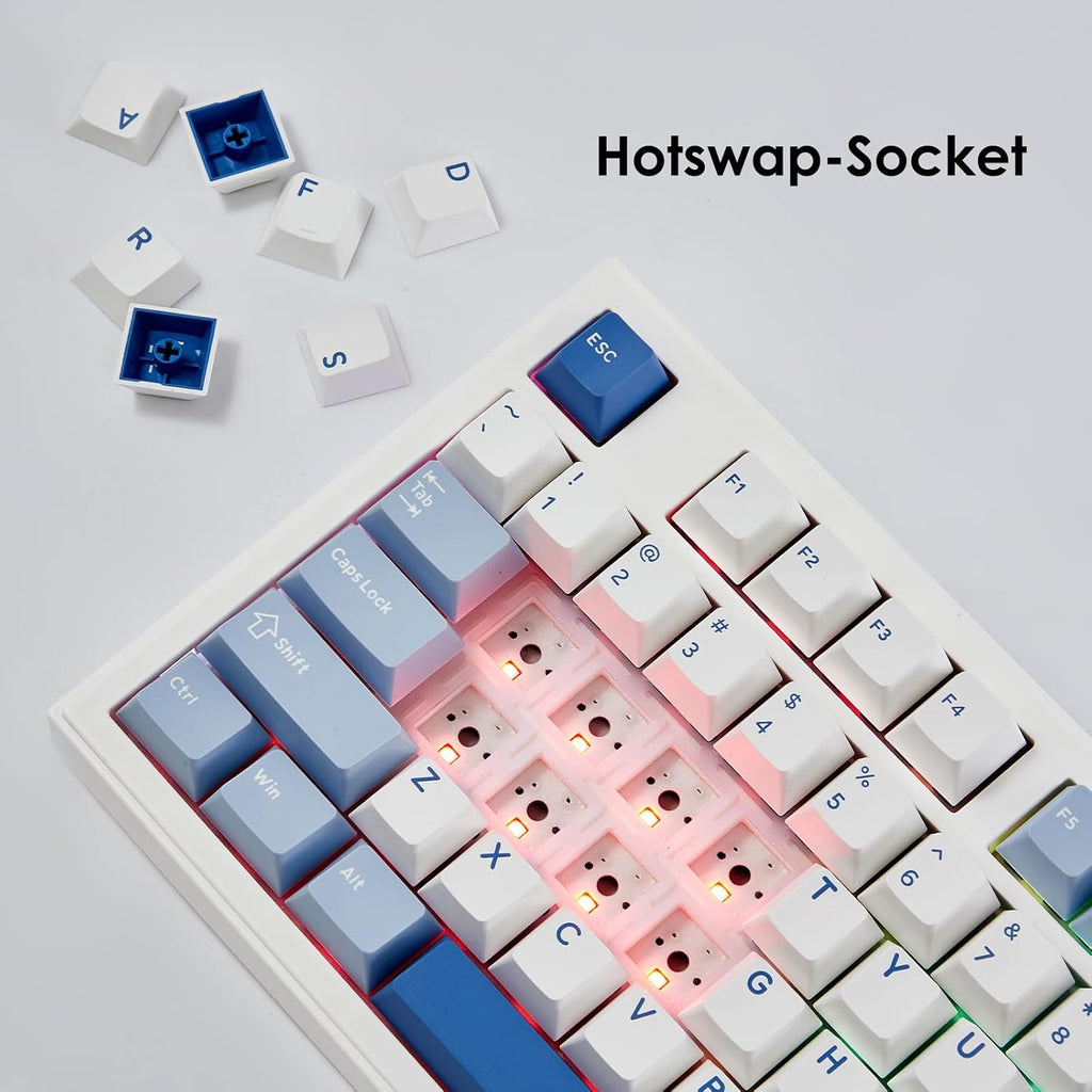 Akko 5098B Wireless Gaming Keyboard with Screen, Glacier Hot-Swappable Mechanical Keyboard with Scroll Wheel, Numberpad, RGB Gasket Keyboard, Piano Pre Lubed Switch