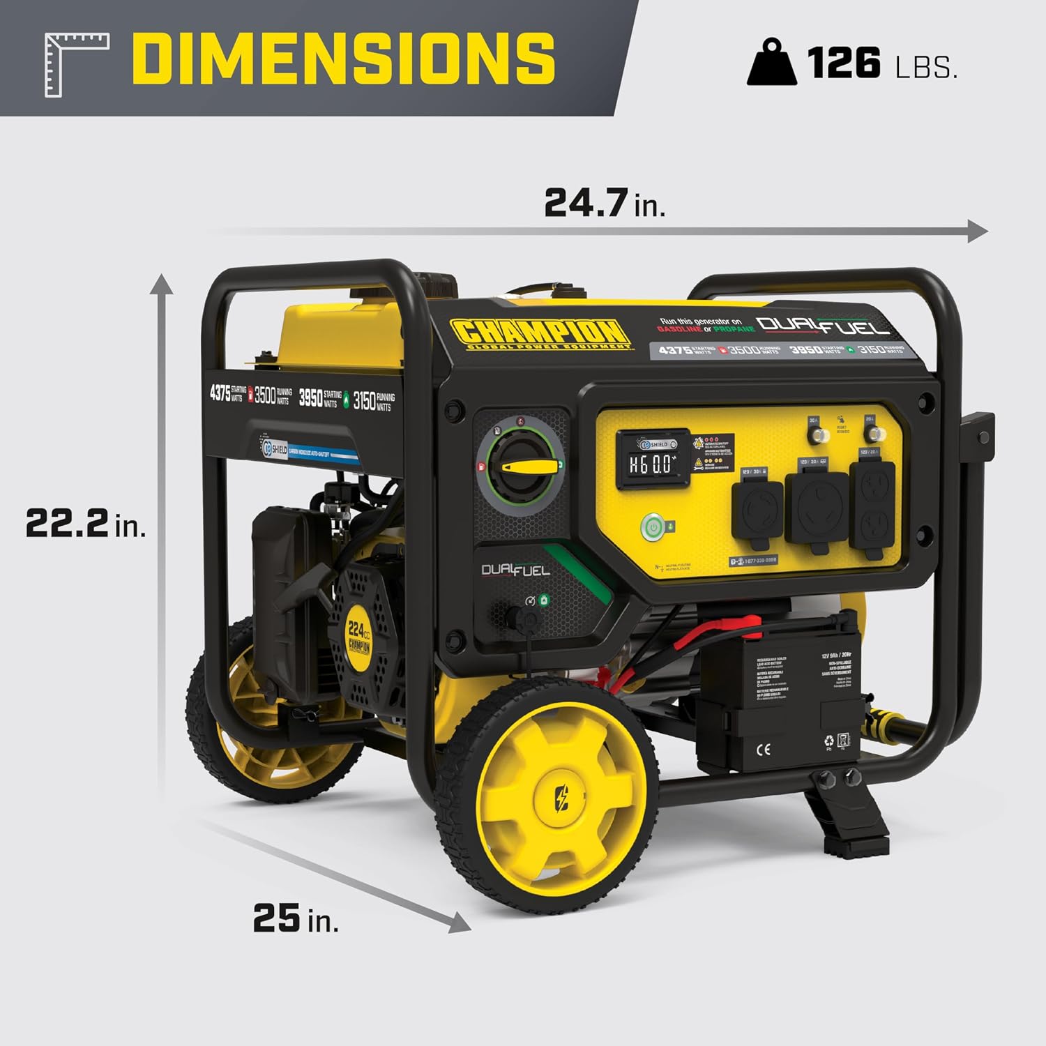 Champion Power Equipment 4375-Watt Wireless Start Dual Fuel RV Ready Portable Generator with CO Shield